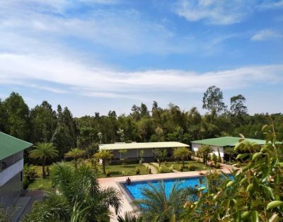 Lake Pool Resort